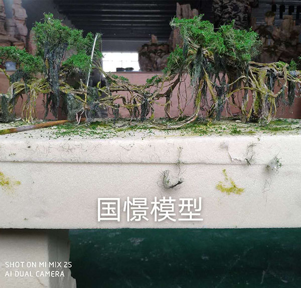 迭部县场景模型