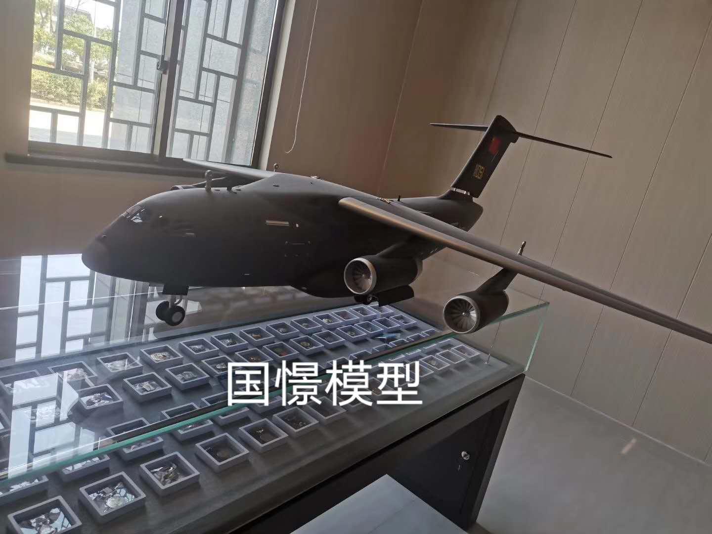迭部县飞机模型